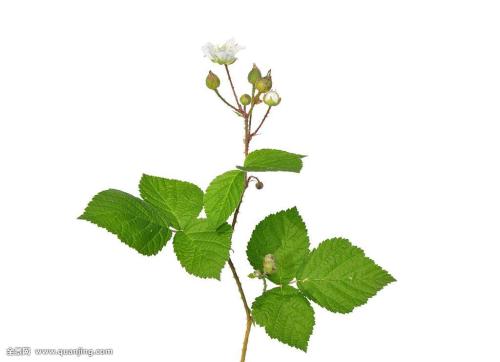 3124ʱ͡ͼ۸ÿϵ90Ԫ85Ԫ